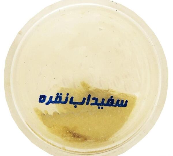 عکس سفیداب نقره اصل
