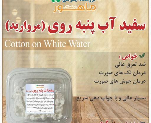 عکس سفیداب پنبه روی