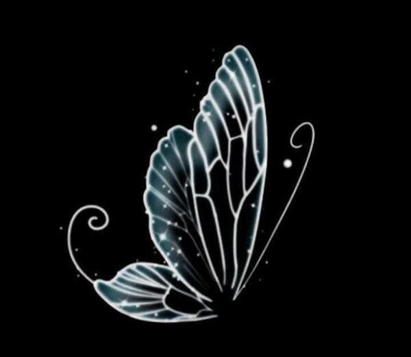 عکس پروانه سفید برای ادیت