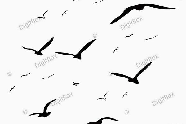 عکس پرنده سفید در حال پرواز