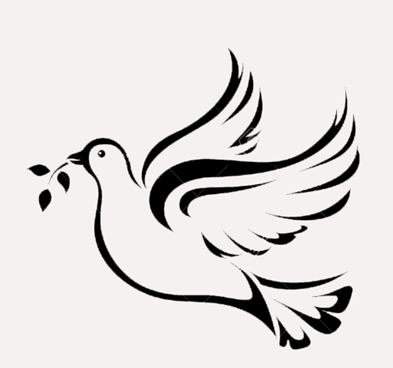عکس پرنده سفید در حال پرواز