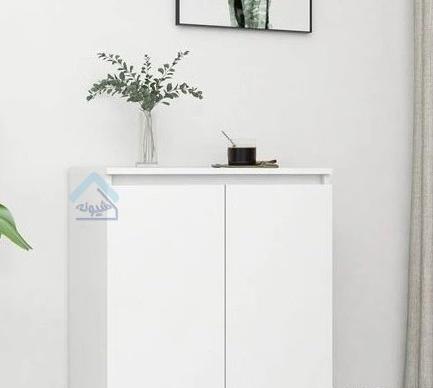 عکس جاکفشی سفید جدید