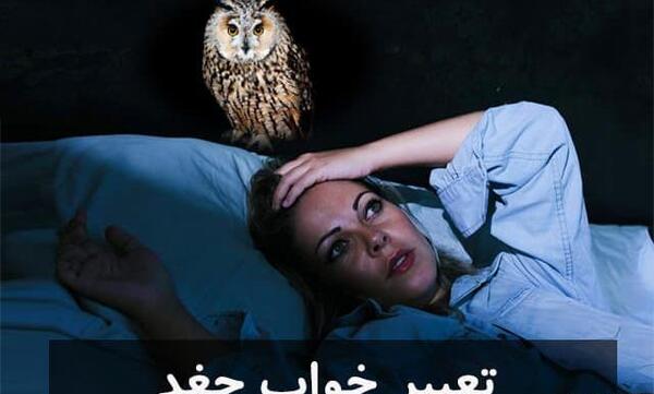 عکس جغد سفید بزرگ
