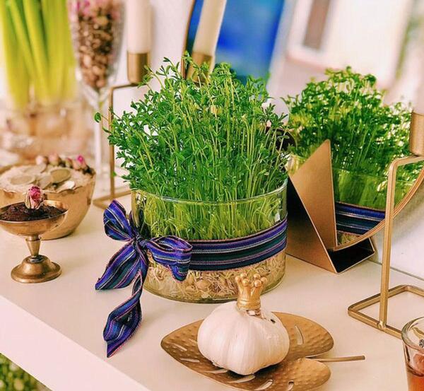 عکس انواع سبزه برای عید