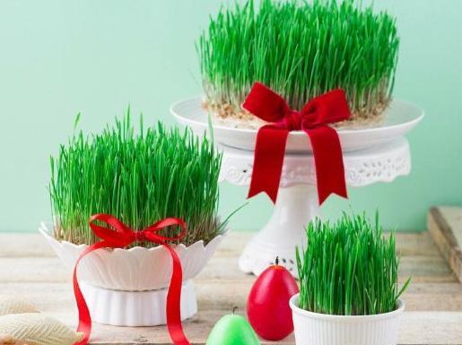 عکس های سبزه عید نوروز