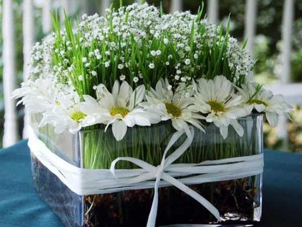 عکس های سبزه عید نوروز