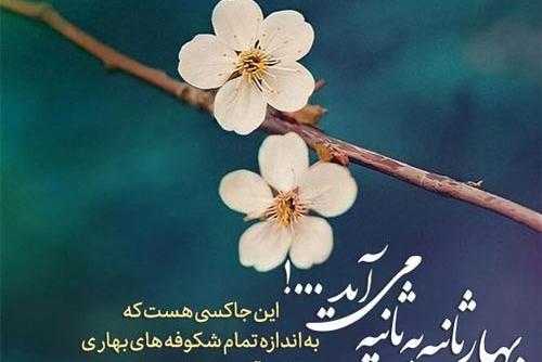 یک عکس برای سال نو