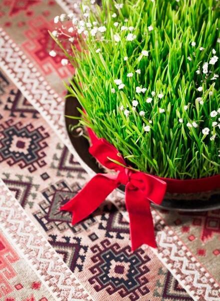 عکس سبزه ی عید نوروز