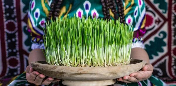 عکس سبزه ی عید نوروز