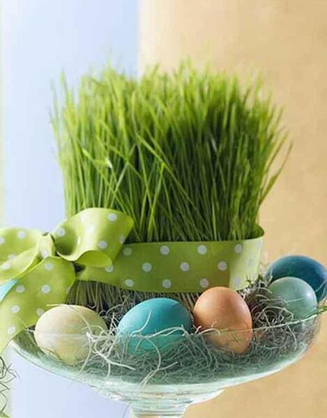 عکس مدل های سبزه عید نوروز