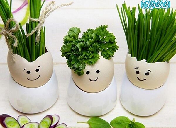 عکس مدل های سبزه عید نوروز