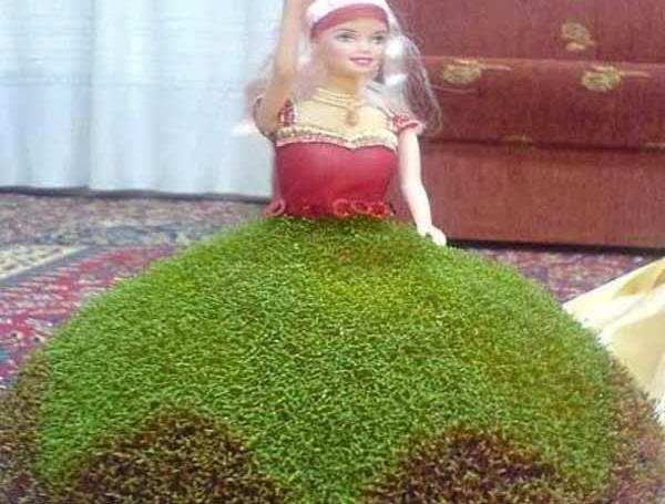 عکس مدل های سبزه عید نوروز