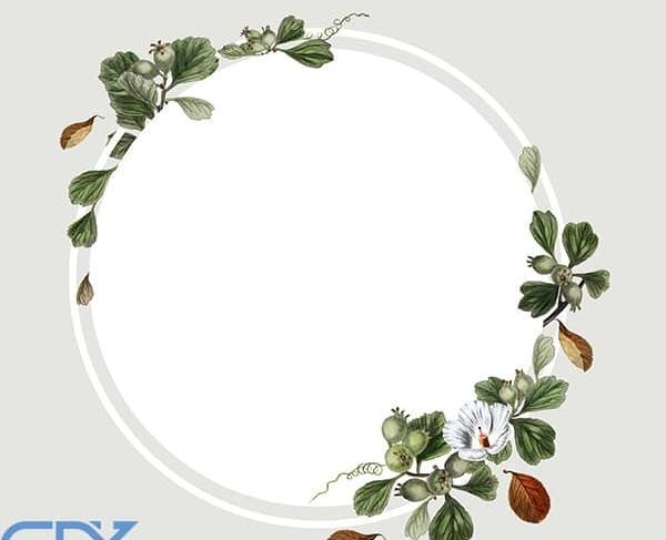 عکس دایره سفید برای ادیت