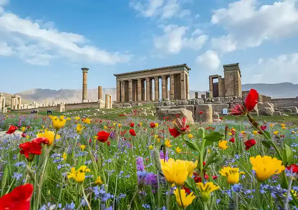عکس پروفایل برای تولد سال نو