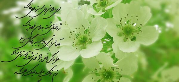 عکس شعر سال نو