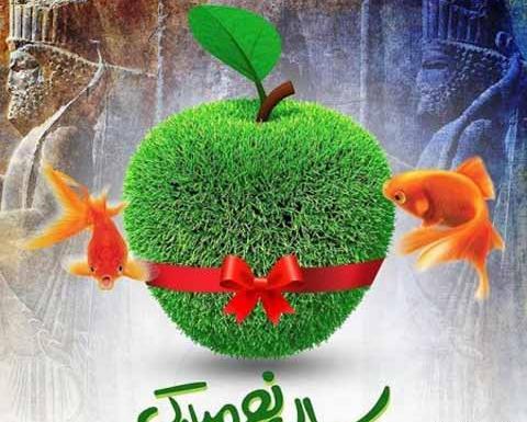 عکس زیباترین سال نو