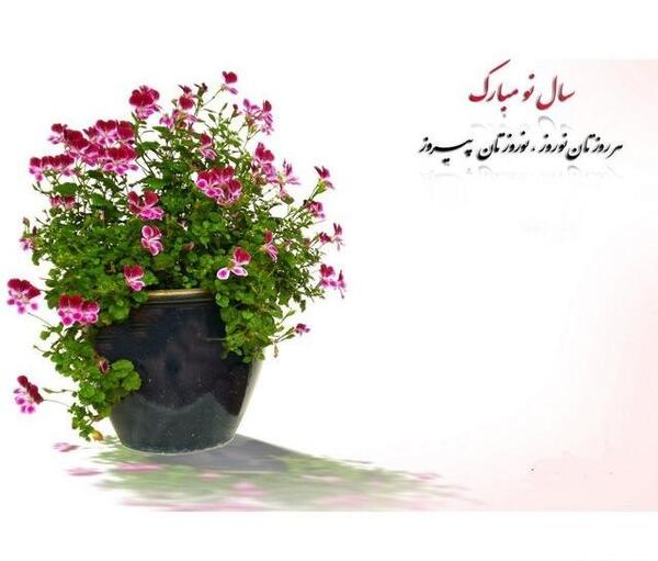 یک عکس زیبا برای تبریک سال نو