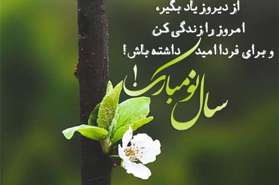 یک عکس زیبا برای تبریک سال نو