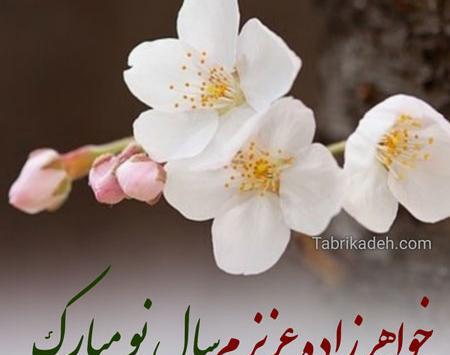 عکس تبریک سال نو به خواهر زاده