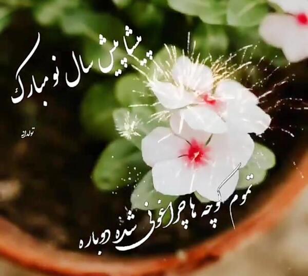 عکس نوشته تبریک سال نو پیشاپیش مبارک