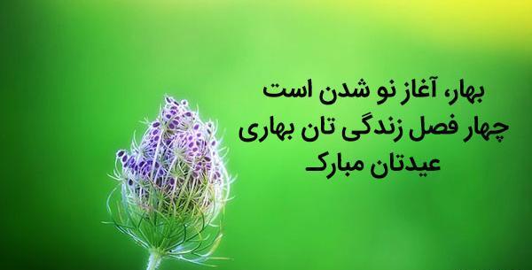 عکس در مورد سال نو پیشاپیش مبارک