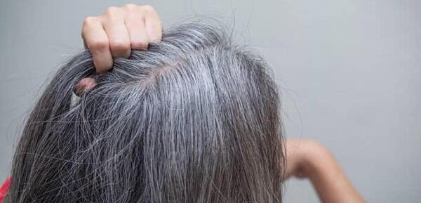 عکس موهای سفید طبیعی