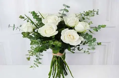 عکس گل سفید طبیعی