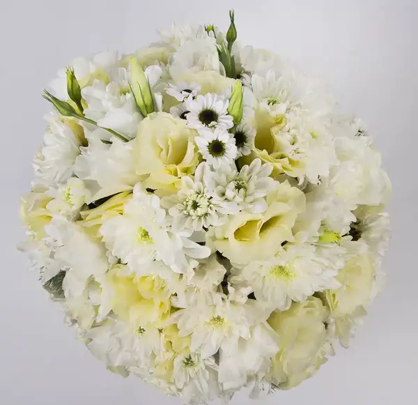 عکس گل سفید طبیعی