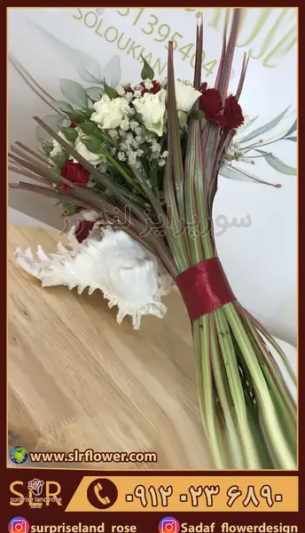 عکس گل سفید طبیعی