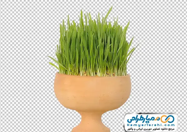 عکس سفره هفت سین سبزه