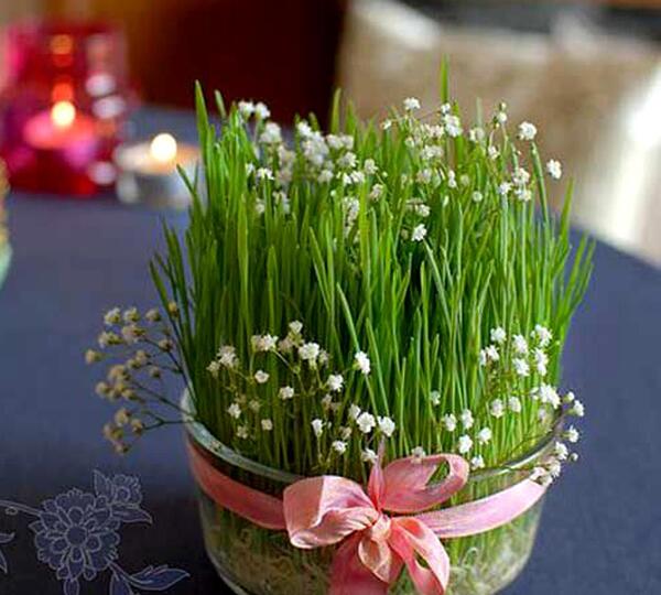 عکس سفره هفت سین سبزه