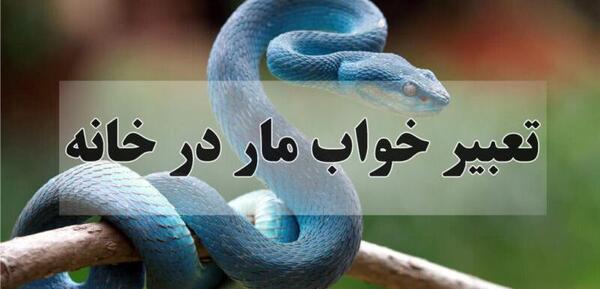 عکس مار سفید و مار سبز