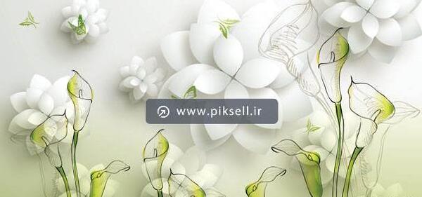 عکس تم سبز و سفید