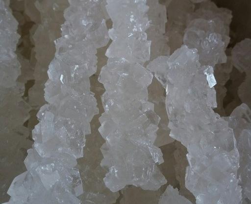 عکس نباتی سفید