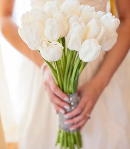 عکس های گل های سفید