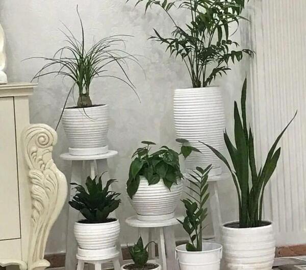 عکس پایه گلدان سفید