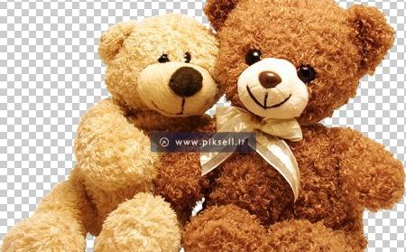 عکس خرس سفید قهوه ای