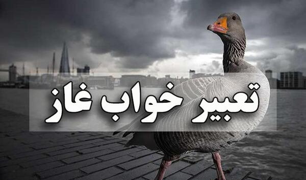 عکس غاز سیاه و سفید