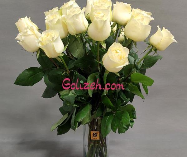 عکس گل رز سفید طبیعی