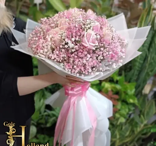 عکس گل رز سفید طبیعی