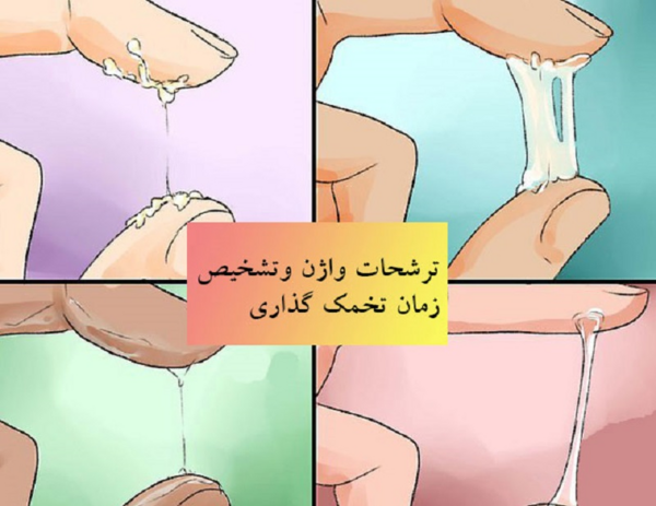 عکس ترشحات سفید شیری