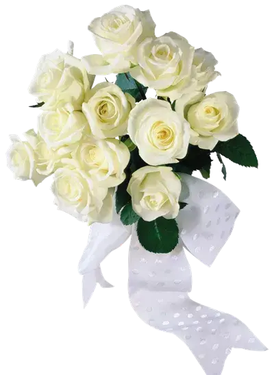 عکس گل سفید و زرد