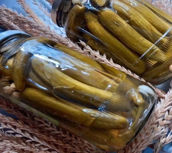 عکس زاج سفید برای خیارشور