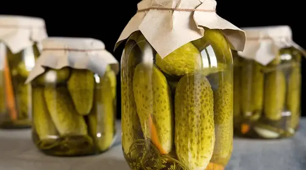 عکس زاج سفید برای خیارشور