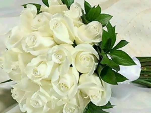 عکس رز سفید زیبا