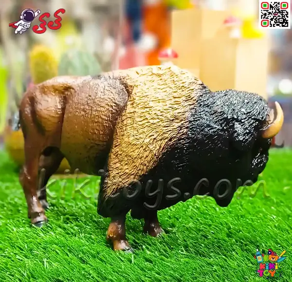 عکس حیوان بوفالو سفید