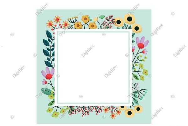 عکس با حاشیه سفید
