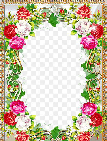 عکس کاغذ سفید حاشیه دار