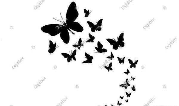 عکس نقاشی سیاه سفید پروانه
