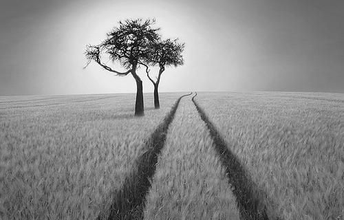 عکس های سیاه و سفید برای پس زمینه